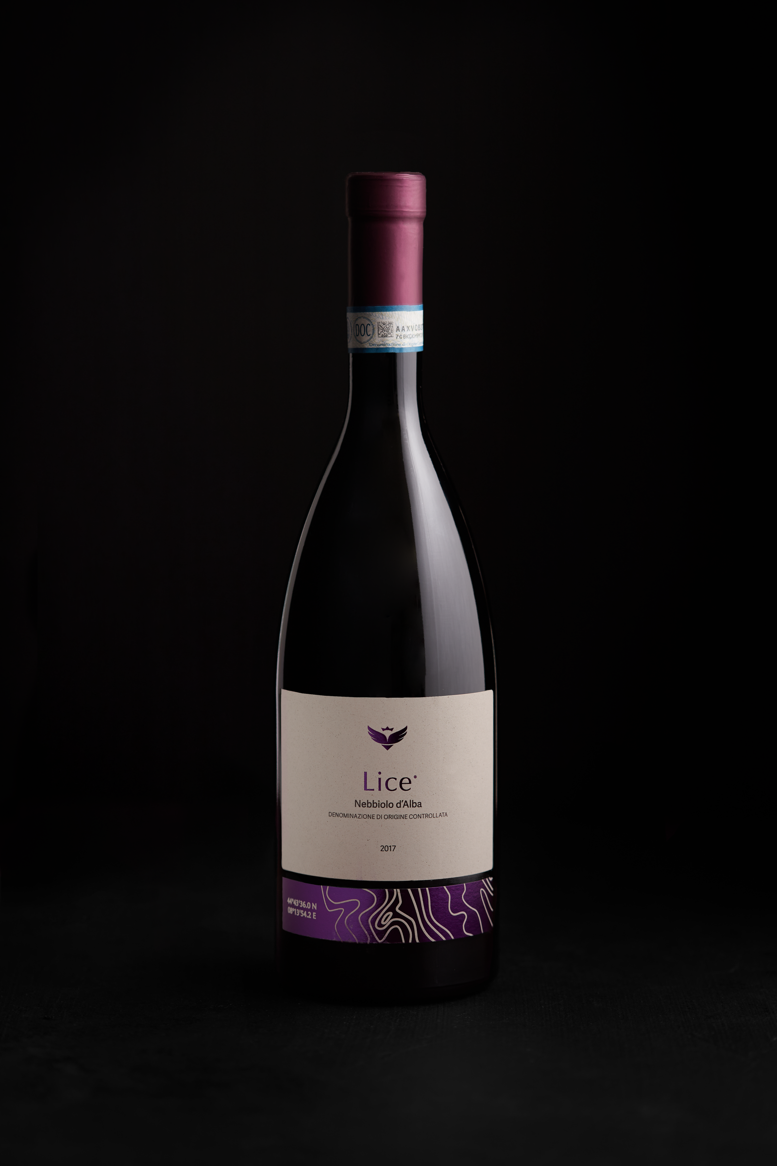 wine bottle dark (1)
